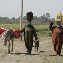 Egyptian's holding plastic barrels on his way to take water from pollution Canal at the Nile Delta town of Al-Borollos, 300 kms north of Cairo in March 16, 2008, during the 'UN World Water Day on 22 March'