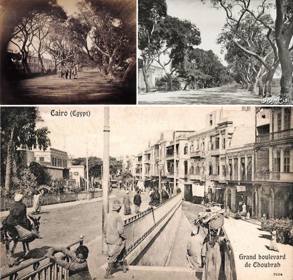 Shubrā Street during various periods where lines of trees could be seen on either side of it giving it a distinctive stylish look in the early days. Some palaces surrounded by gardens, which at one point extended along the length of the street, can also be seen.