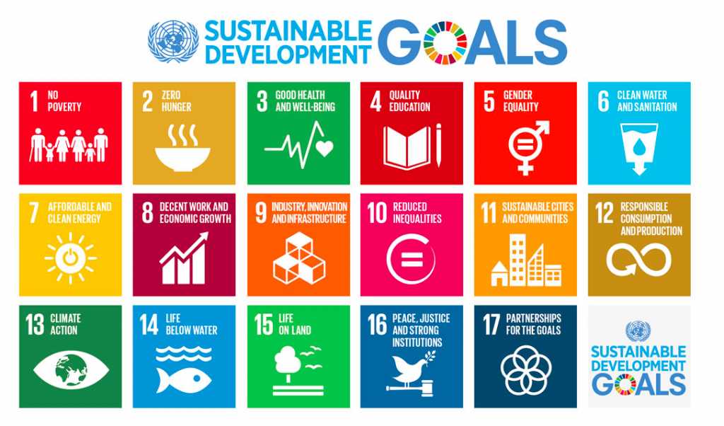 The Sustainable Development Goals. (Source: United Nations, 2015).